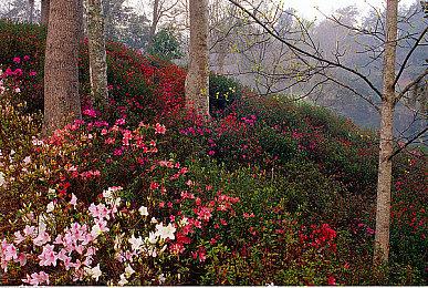 《地心护核者》专属服务器上线 “沉没之海”更新介绍